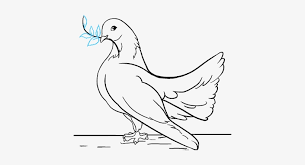 Learn how to draw a dove for kids. Beauteous How To Draw A Dove In Few Easy Steps Drawing Transparent Png 678x600 Free Download On Nicepng