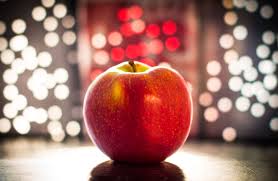 Image result for apple of knowledge