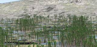 How A Huge Forest Of Extinct Trees Sparked Transformation Of Life On Earth {art} after we read the book, a tree is nice, and talk about different kinds of trees, we paint a picture of a tree. how a huge forest of extinct trees