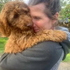 Any recommendations for a good local website designer? Thank you 🙏