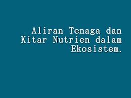 Bab 2 ekosistem2.1 aliran tenaga dalam ekosistemvideo ini menerangkan bagaimana aliran tenaga dipindahkan dari satu organisma kepada organisma lain.#cikguhas. 25322916 Aliran Tenaga Dan Kitar Nutrien Dalam Ekosistem Pdf Document