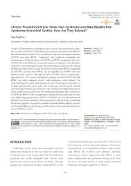 Symptoms, causes, treatment & prevention. Pdf Chronic Prostatitis Chronic Pelvic Pain Syndrome And Male Bladder Pain Syndrome Interstitial Cystitis How Are They Related