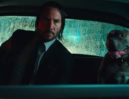 Assassin john wick battles dozens of ninjas in the teaser and showcases his impressive knife skills, hurling several of the sharp objects at his foes. Tense First John Wick 3 Clip Features Tough Decisions Gamespot