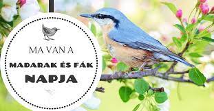 Interjú dombóvári istvánnal és bellus istvánnal. Majus 10 Madarak Es Fak Napja Evente Egy Nap Szenteltessek A Madarak Es Fak Vedelmeben Herman Otto Ketkes Com