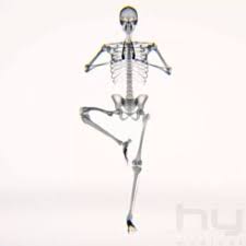 Yoga Skelton How To Do Yoga Downward Dog Yoga Anatomy