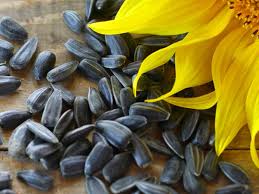 Maybe you would like to learn more about one of these? What Is Black Oil Sunflower Seed
