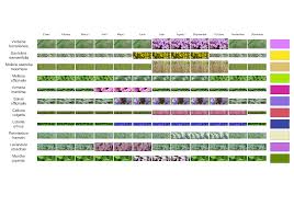 Plant Palette Front Garden Landscape Landscape Diagram Planting Plan