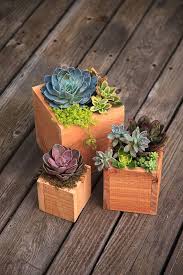 Handmade Cedar Wood Succulent Planter Box Set 3 Sizes Succulent Planter Diy Wooden Succulent Planter Planter Box Designs