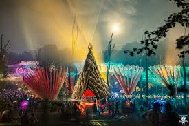 Image result for Ozoroa uelensis