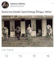 Bazilarinin Kendini Ispat Etmeye Ihtiyaci Yoktur Komik Hayvanlar Audi