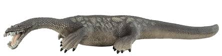Image result for Nothosaurus