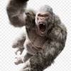 You can print and download the great 20 godzilla vs king kong coloring pages collection for free. 1