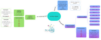 Le futur antérieur est un tiroir verbal de la conjugaison des verbes français. 5eme Conjugaison Le Futur Simple De L Indicatif Lecon Et Exercices