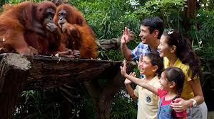Το ελληνικό web meeting point. Singapore Zoo Visit Singapore Offizielle Website