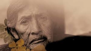 Tess Duran's Instagram, Twitter & Facebook