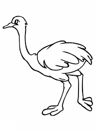 Ostrich Coloring Pages For Kids Preschool And Kindergarten Coloring Pages Cool Coloring Pages Coloring Pages For Kids