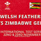 Welsh Feathers v Zimbabwe Gems - International event image
