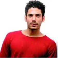 Star Plus: Vipul Gupta in Star Plus' Teri Meri Love Stories