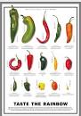 Image result for types of hot peppers
