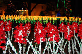 Each year it draws more than one million visitors. Tulip Light Display Picture Of Oglebay Park Wheeling Tripadvisor