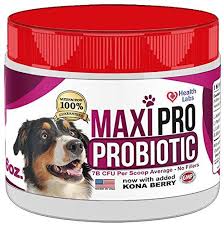 Dog Probiotic Powder Improve Gastrointestinal Health Natural Digestive Enzymes 5 Billion Cfu Pure Acidophilus Boost Imm Probiotics Digestive Enzymes Cat Health
