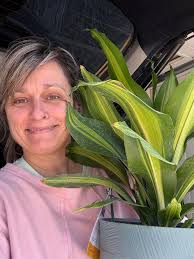 The Borrellis' Boutique