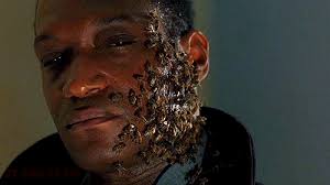 See what candyman (candymancarl13) has discovered on pinterest, the world's biggest collection of ideas. Candyman Gifs Page 2 Wifflegif