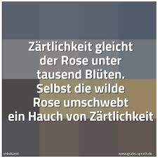 Spruch Zartlichkeit Gleicht Der Rose Unter Ta Und Weitere Spruche Zitate Und Weisheiten Gratis Spruch De