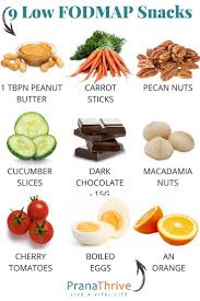9 Low Fodmap Snacks Pranathrive Com In 2020 Fodmap Diet Recipes Fodmap Snacks Low Fodmap Snacks