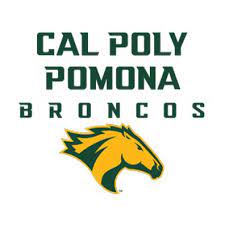 Cal Poly Pomona Broncos Logo Shefalitayal