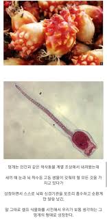 영월군스포츠클럽의 발레요정!도시청년으로 함께하고 있는조상화 강사님의 발레 기초를 준비했어요!남녀노소 누구나 쉽게 따라할 수 있고자세교청의 효과까지!집에서 함께 따라해 보세요♥. ì¸ë¥˜ì™€ ì¡°ìƒì´ ê°™ì€ ìƒë¬¼