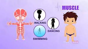 Tamil kids exercise learn body parts. Pin On School