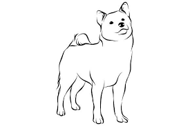 Having an axis line is very useful because you can use it for checking the step 2. Shiba Inu Dog Line Art Grafik Von Therintproject Creative Fabrica