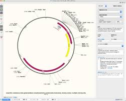 Dna解析ソフト1 Snapgene Macでインフォマティクス