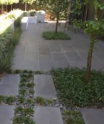 Entry Walkway Option 1 Trachelospermum Jasminoides Mixed With Sedum Autumn Joy Projekte