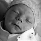 Stefani Family Obituaries