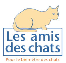 Les frais vétérinaire sont important car nous avons emmené de nombreux bébés se faire soigner. Veterinaire Gratuit Pas Cher 9 Aides Aide Financiere