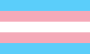 History and meaning of trans flag in under 2 minutes. International Transgender Day Of Visibility Will Be Held On March 31 Insight Into Diversity