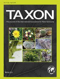 Image result for Dissotis anchietae