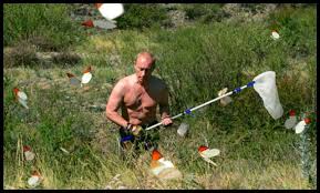 Enter, pursued by a bear. He S A Real Man Vladimir Putin As Meme Seej