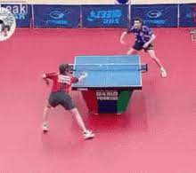 Table tennis master (reddit) # gifs#unexpected. Table Tennis Gifs Tenor