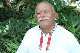 Högre Brasiliansk Militär Utomhus Fotografering för Bildbyråer