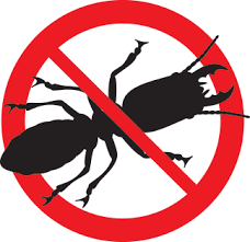 The termite inspector must be experienced, licensed, insured, and bonded. Most Active Pests In Autumn Months Dawson S Australia
