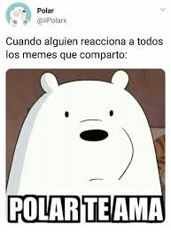 Polar Te Ama Memes Divertidos Memes Graciosos Meme Divertido