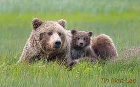 Pin On P A Bear Hugs