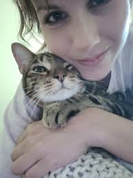 I have a very strong lead that my cat has been sighted multiple times by a  couple different people in the field/ woods behind walmart and near pop  shelf. If people could