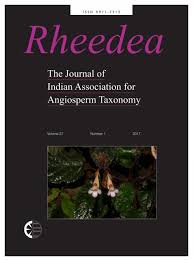 Image result for Eragrostis paniciformis