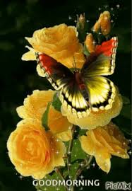 We did not find results for: Yellow Rose Gifs Tenor