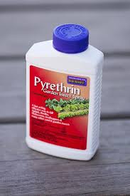 Pyrethrin Garden Insect Spray Insect Spray Garden Insects Pest Control