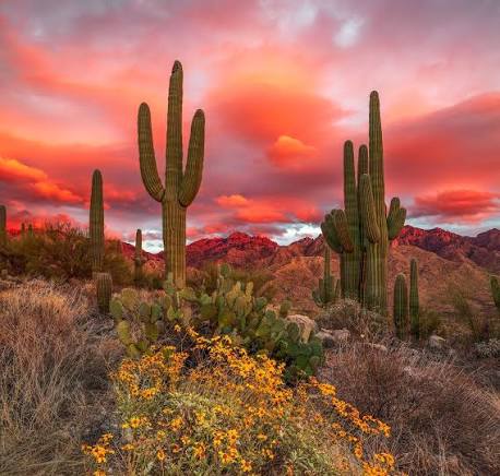 Visit Arizona (@arizonatravel) • Facebook